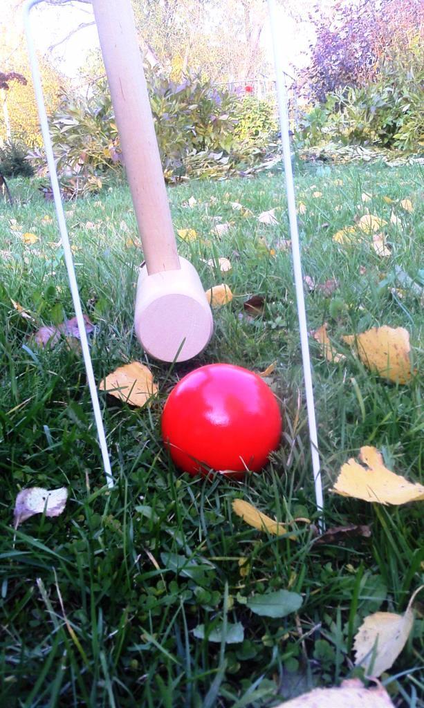 croquet 1